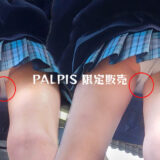 【PALPIS】もはやレギュラー？純白パンツリピートの青チェJKまた撮りww